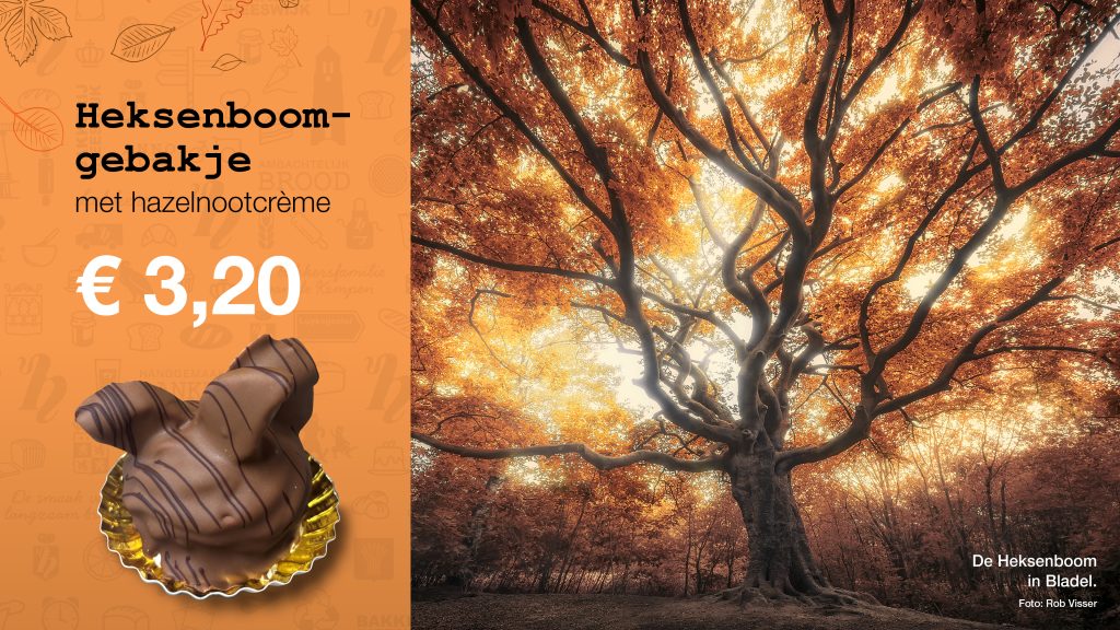 vhw folder oktober 2026 banners8
